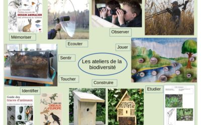 Nature et biodiversité